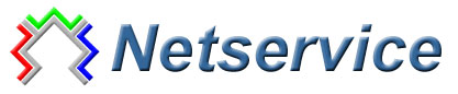 Netservice sas